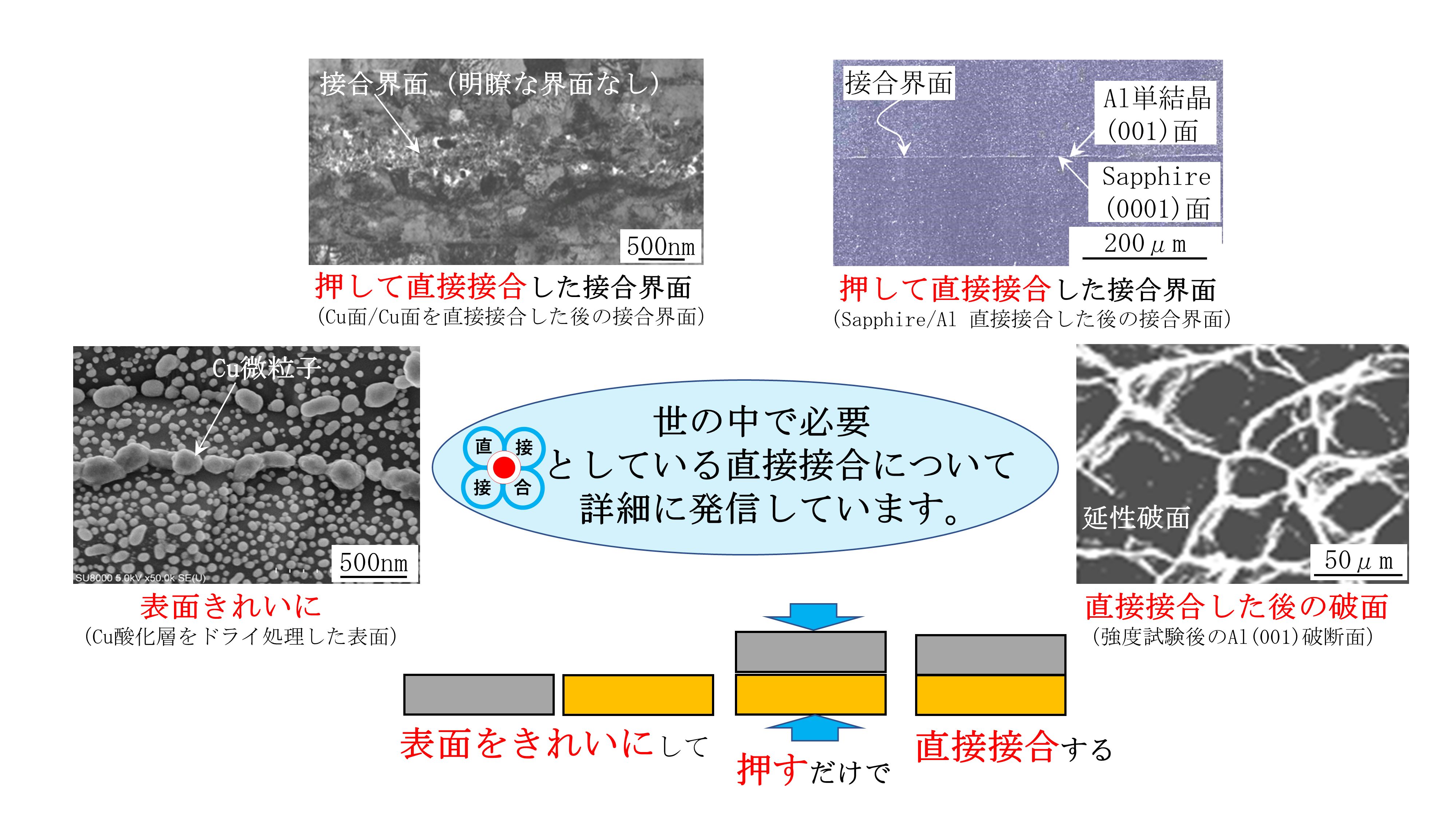 トップ画像